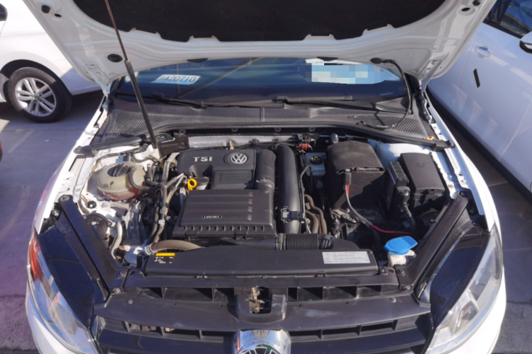 大众 高尔夫 2016款 230TSI 自动舒适型机舱底盘24