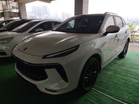 东风风行 风行T5 EVO 2021款 1.5TD DCT铂金版