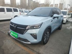 五菱汽车 五菱星辰 2022款 2.0L DHT电速款