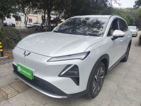 五菱汽车 五菱星光S 2024款 510km 旗舰型
