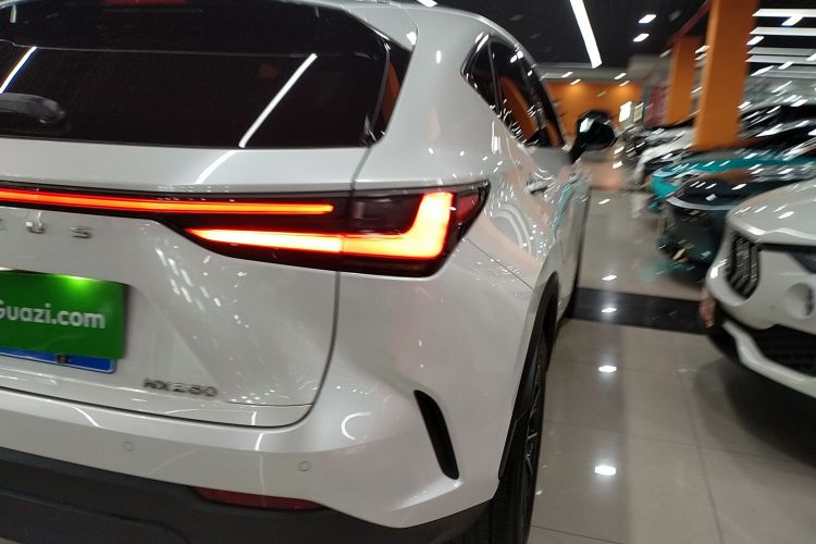 雷克萨斯NX 2023款 260 前驱 创游特别版车身外观6006