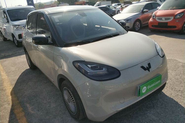 五菱汽车 五菱缤果 2023款 410km 灵犀尊享款车身外观3