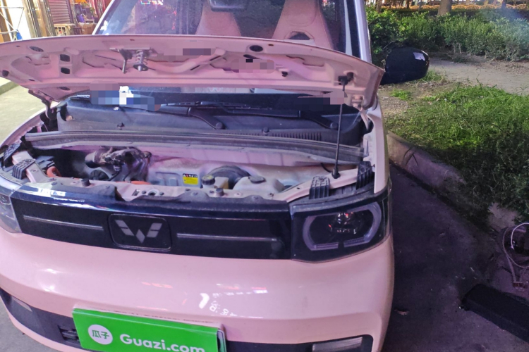 五菱汽车 宏光MINIEV 2021款 马卡龙臻享款 磷酸铁锂局部细节9007