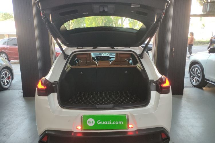 雷克萨斯UX新能源 2020款 300e 纯·悦版机舱底盘23