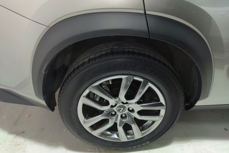 雷克萨斯NX 2018款 300 全驱 锋尚版车身外观6003