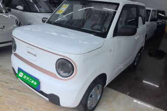 吉利银河 2024款 熊猫mini 200km 耐力熊