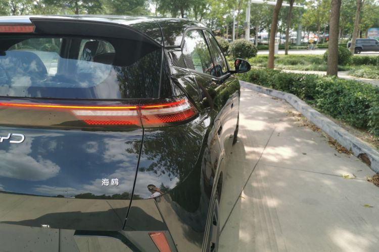 比亚迪 海鸥 2025款 智驾版 305km 活力版车身外观6006