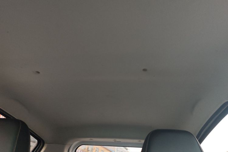 思皓 2022款 花仙子款 四叶草局部细节22