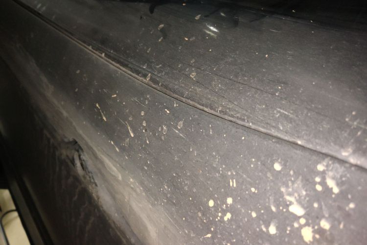 特斯拉 Model 3 2020款 改款 标准续航后驱升级版局部细节9002