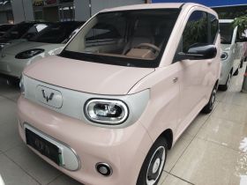 五菱汽车 宏光MINIEV 2024款 第三代 215km 青春版