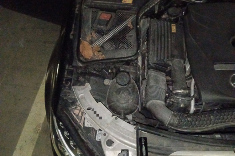 奔驰C级 2015款 C 180 L 运动型局部细节9006