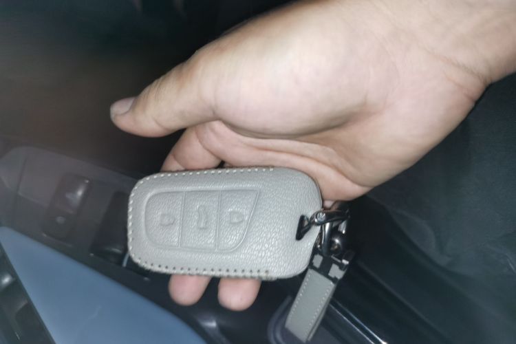 奇瑞新能源 小蚂蚁 2022款 甜粉款 全糖版 三元锂 30kW 301km中控内饰7001