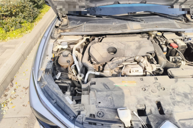 雪铁龙 凡尔赛C5 X 2021款 1.6T 耀不凡局部细节9006