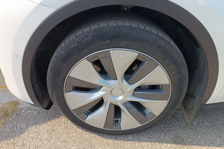 特斯拉 Model Y 2021款 改款二 长续航全轮驱动版车身外观6007