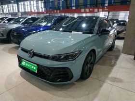 大众 帕萨特 2025款 Pro 380TSI 星空龙尊版