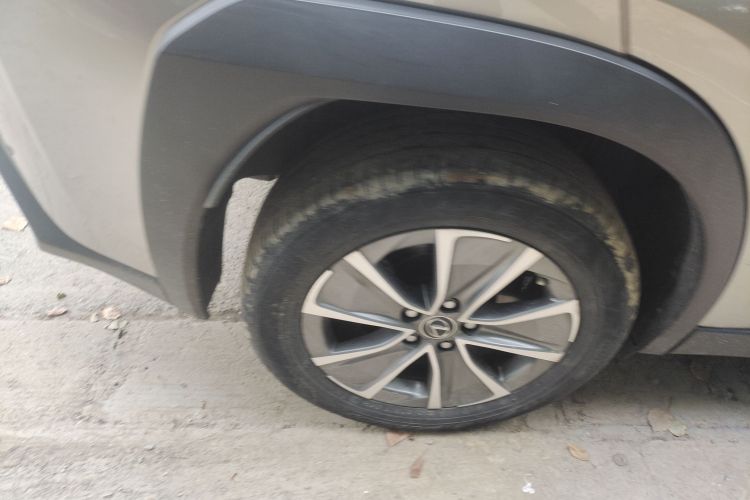 雷克萨斯UX新能源 2020款 300e 纯·悦版车身外观6008