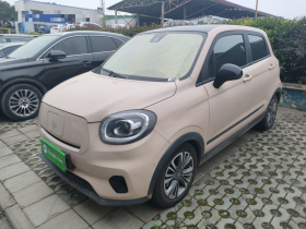 零跑汽车 零跑T03 2021款 400豪华Pro版