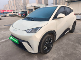 比亚迪 海鸥 2025款 305km 自由版