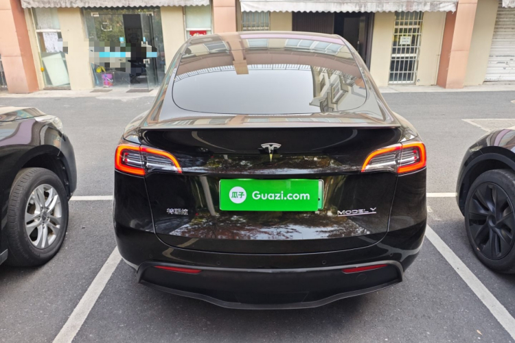 特斯拉 Model Y 2021款 Performance高性能全轮驱动版车身外观6