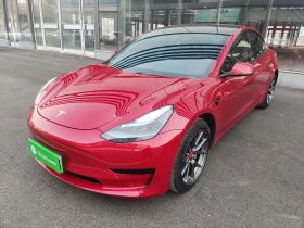 特斯拉 Model 3 2021款 标准续航后驱升级版