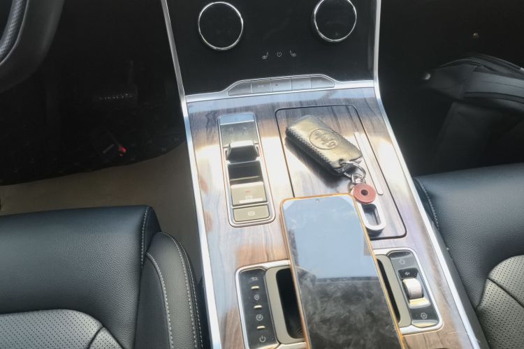 星途揽月 2021款 390T 两驱星耀长续航版局部细节18