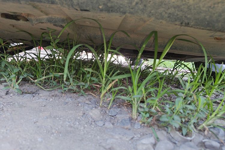 吉利汽车 帝豪GL 2019款 1.4T CVT精英智享型局部细节9008