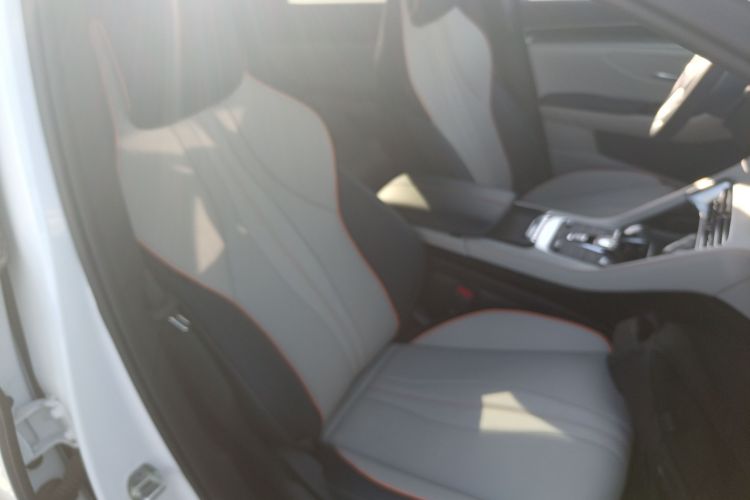 比亚迪 宋PLUS新能源 2021款 EV 旗舰型局部细节41