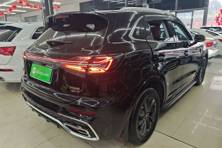 红旗HS5 2023款 2.0T 旗享Pro版车身外观7