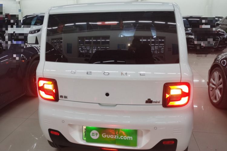 吉利银河 2024款 熊猫mini 200km 耐力熊车身外观6004