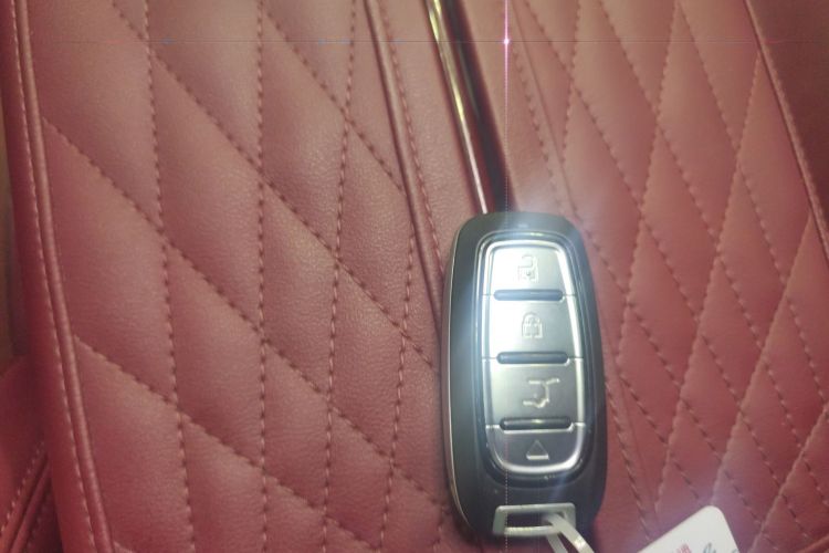 红旗E-HS9 2021款 460km 旗享版 六座中控内饰11