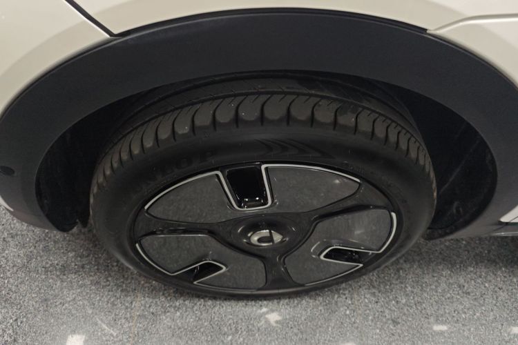 smart精灵#1 2024款 Premium版车身外观6007