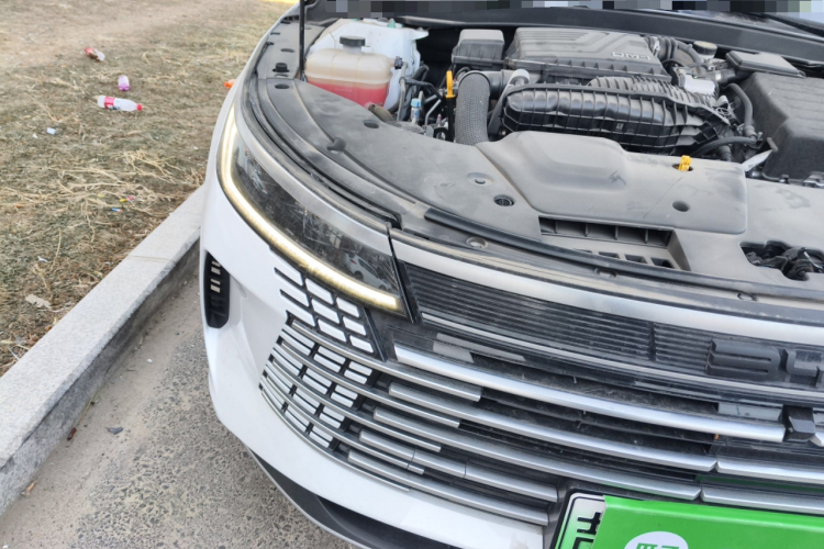 比亚迪 驱逐舰05 2024款 荣耀版 DM-i 55KM 豪华型车身外观8