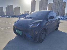 比亚迪 海鸥 2023款 活力版