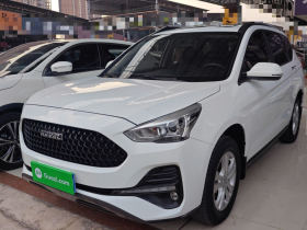 哈弗M6 2019款 1.5T DCT两驱精英型 国VI