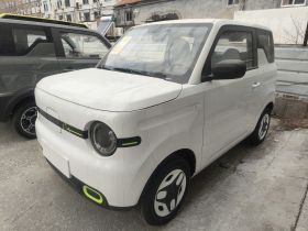 吉利银河 熊猫 2025款 210km 元气熊