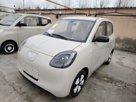 五菱汽车 宏光MINIEV 2025款 四门版 进阶款