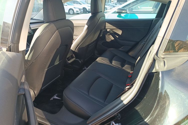 特斯拉 Model 3 2021款 标准续航后驱升级版 3D6中控内饰7004