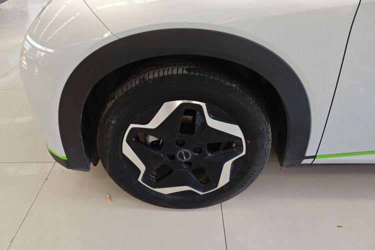 比亚迪 海豚 2021款 405km 时尚版车身外观6007