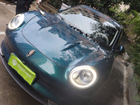 欧拉好猫 2021款 400km标准续航 维纳斯版 磷酸铁锂