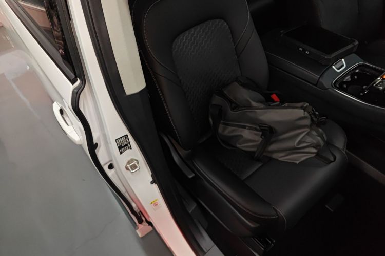 广汽传祺 传祺M8 2024款 领秀系列 390T 豪华版局部细节41