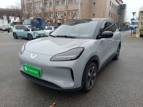 五菱汽车 五菱缤果PLUS 2024款 401km 五座版