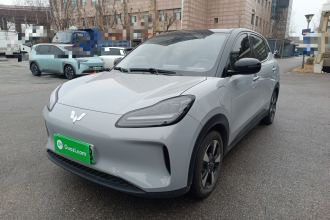 五菱汽车 五菱缤果PLUS 2024款 401km 五座版