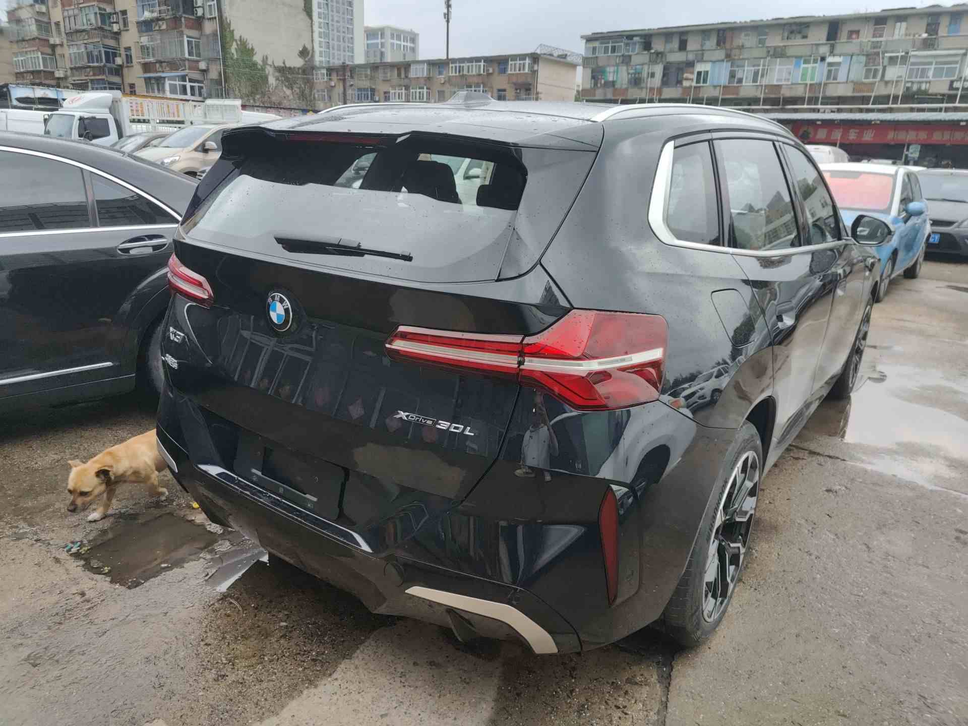 宝马X3 2025款 xDrive30L 尊享型 M运动套装(4)