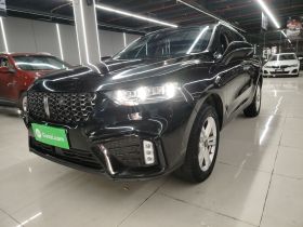 魏牌 VV5 2020款 1.5T 两驱颜先锋