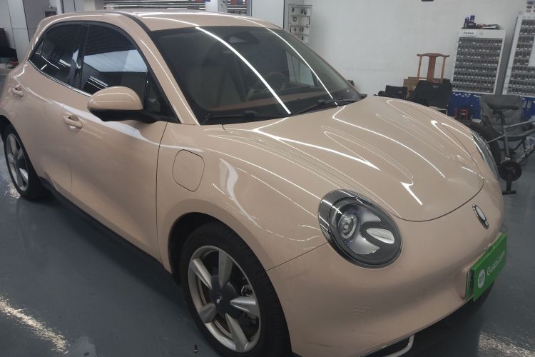 欧拉好猫 2023款 501km长续航 豪华型 三元锂车身外观3