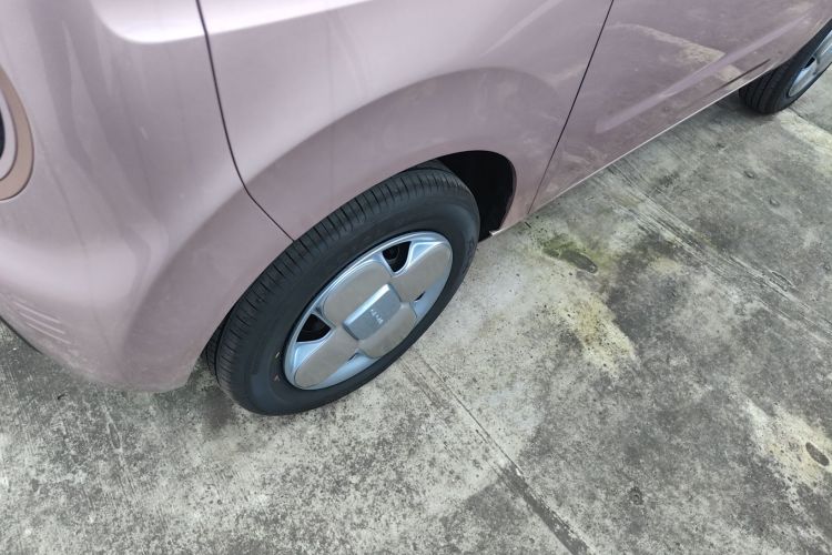 吉利银河 2024款 熊猫mini 200km 耐力熊车身外观6007