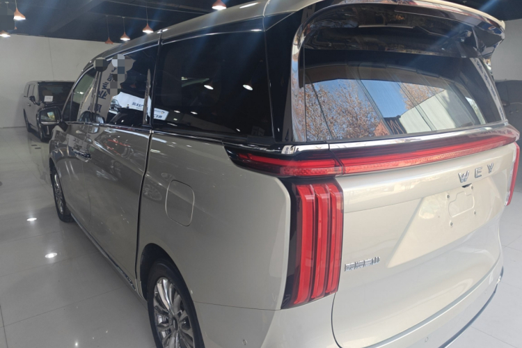 魏牌 高山 2023款 四驱旗舰版车身外观4