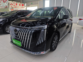 广汽传祺 传祺M8 2024款 大师系列 400T 至尊版