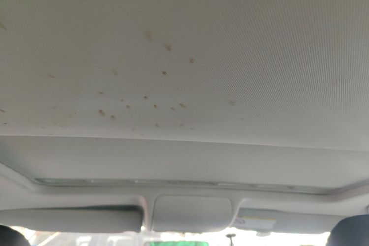 大众 Polo 2016款 1.6L 自动舒适型中控内饰22