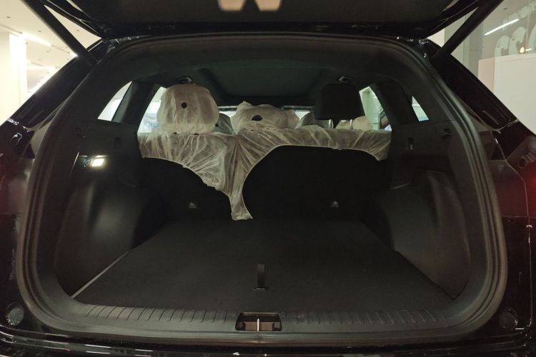 吉利汽车 星越L 2024款 2.0TD DCT EVO两驱长风版局部细节23